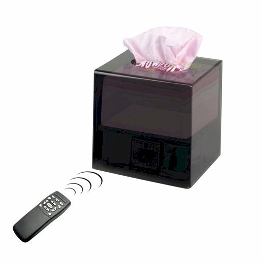 indoor camera hidden